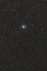 procyon-star-sm